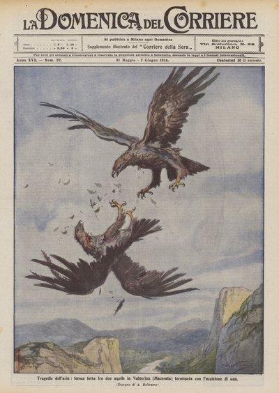 空气的悲剧，在Valnerina（Macerata）的两只老鹰之间的激烈斗争以杀死一只 作者 阿基里·贝尔特拉姆（Achille Beltrame）