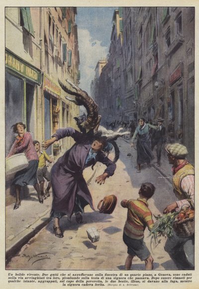 一个活火球 作者 阿基里·贝尔特拉姆（Achille Beltrame）