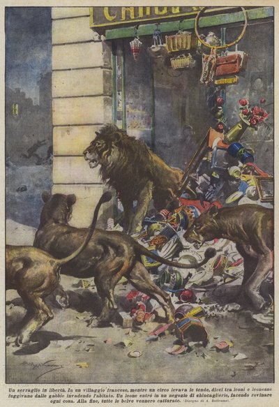 一个免费的动物园 作者 Achille Beltrame
