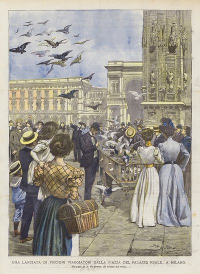 从Piazza del Palazzo Reale，在米兰发射旅行者鸽子 作者 Achille Beltrame