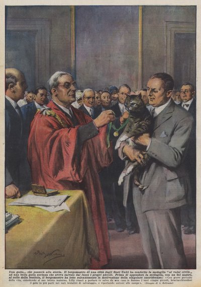 一只猫？这将传递到历史 作者 阿基里·贝尔特拉姆（Achille Beltrame）