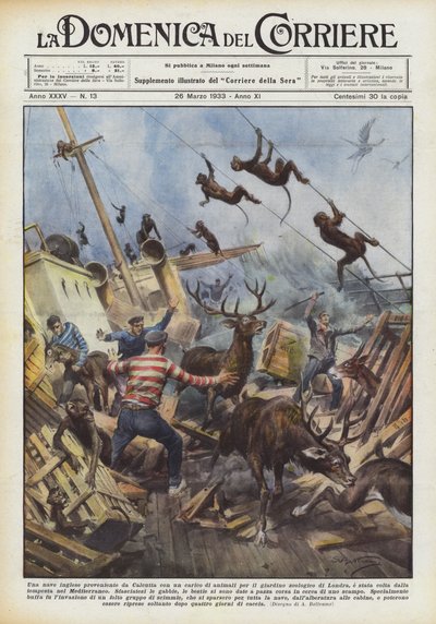 一艘来自加尔各答的英国船，动物园里有很多动物？ 作者 Achille Beltrame