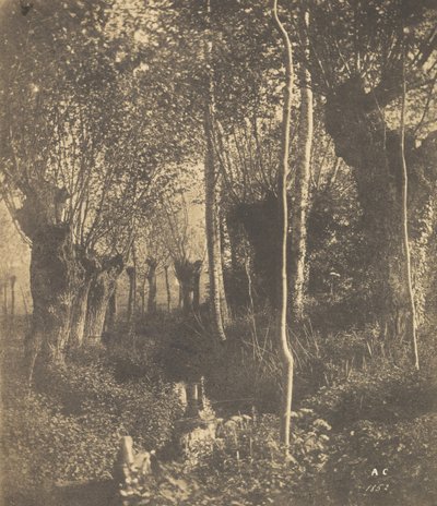 [景观，阿拉斯]，1852年。 作者 阿达尔伯特·库维利埃
