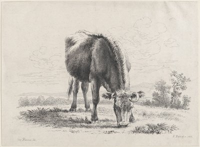 奶牛放牧，1805年，1805年。 作者 亚当·冯·巴奇