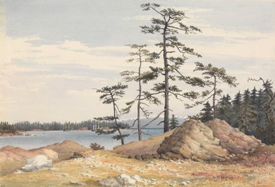 温哥华岛埃斯基马尔特港，1851 年 6 月 28 日[加拿大]