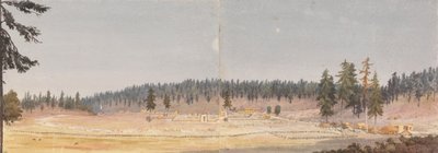 加利福尼亚州内华达城附近的草谷，1851 年 9 月 18 日1851年9月18日 作者 海军上将爱德华·根尼斯·范肖爵士