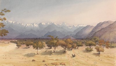 1851 年 1 月 14 日，距离[智利]圣罗莎两里格[与安第斯山脉和阿空加瓜山]"。 作者 海军上将爱德华·根尼斯·范肖爵士