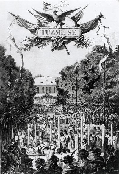 Tuzmese"（努力），在布拉格举行的第一次Sokols会议 作者 阿道夫（后）利布舍尔