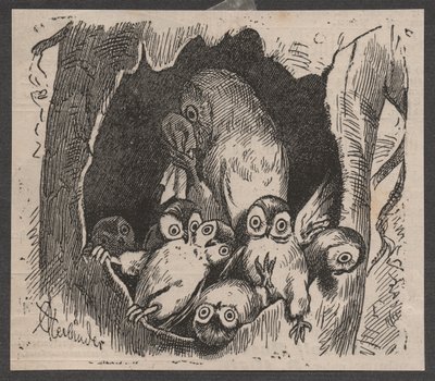 猫头鹰与幼崽，约 1890 年（快印印刷品） 作者 阿道夫·奥伯兰德
