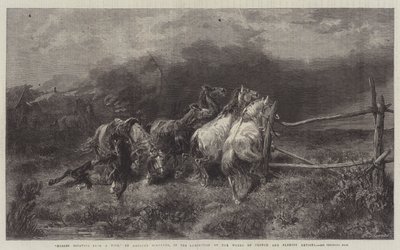逃离火灾的马 作者 阿道夫·施雷尔（Adolf Schreyer）