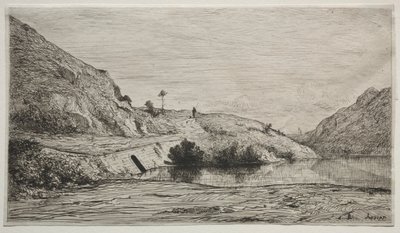 罗纳河岸，1865年。 作者 阿道夫·阿皮安