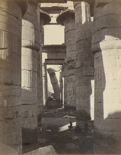 上埃及，卡纳克的大厅，约1870年。 作者 阿道夫·布劳恩（Adolphe Braun）
