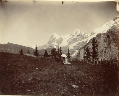 瑞士风景 作者 阿道夫·布劳恩（Adolphe Braun）