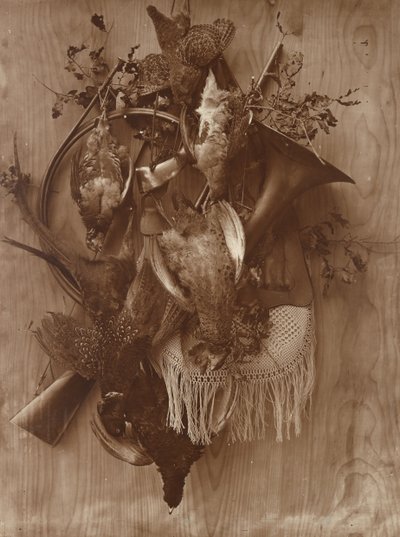 野鸡和松鸡，约1865年。 作者 阿道夫·布劳恩（Adolphe Braun）