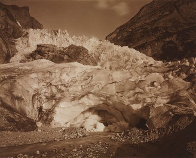 瑞士。格林德瓦（Grindelwald），上冰川（Lutschine的来历），1875-1877年。 作者 阿道夫·布劳恩（Adolphe Braun）