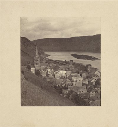 莱茵河景观 作者 阿道夫·布劳恩（Adolphe Braun）