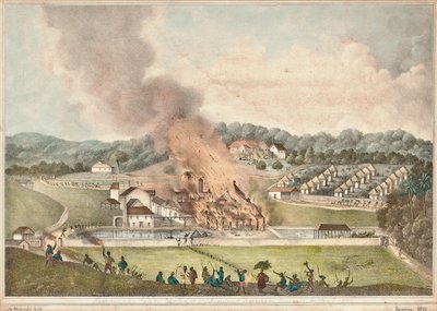 1833年1月，圣詹姆斯教区的罗汉普顿庄园遭到破坏 作者 阿道夫·杜佩利（Adolphe Duperly）
