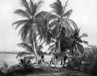 通往蓝洞的路上，牙买加，安东尼奥港，约1905年。 作者 阿道夫·杜珀利和儿子