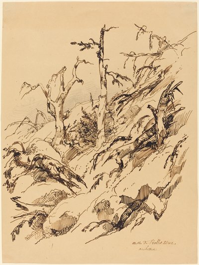 山坡上的枯萎和死亡的树木 作者 Adolphe Etienne Viollet Le Duc II