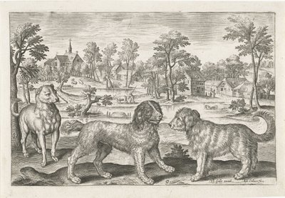 Honden
Vierpotige dieren（系列名称）
Animalivm Qvaddrvpedvm（系列名称） 作者 西奥多·加勒
