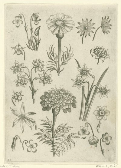 各种花卉、三色堇和水仙花
花卉（系列名称） 作者 西奥多·加勒