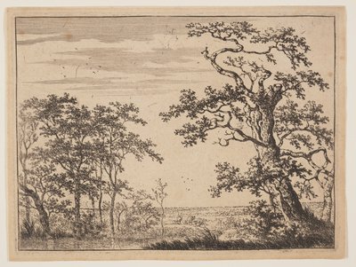 池塘 作者 阿德里亚恩·亨德里克斯（Adriaen Hendricksz）。威宝