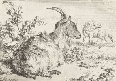 躺着的山羊，1670年 作者 阿德里亚恩·范·德·韦尔德