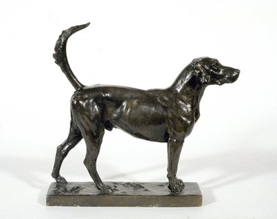 猎犬“Pytchley Forager” 作者 阿德里安·琼斯（Adrian Jones）
