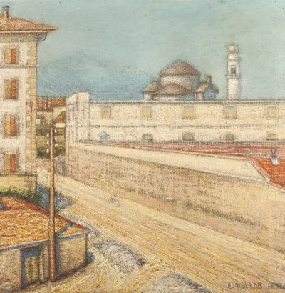 Afa meridiana，1913 作者 阿德里亚娜·比斯·法布里（Adriana Bisi Fabbri）