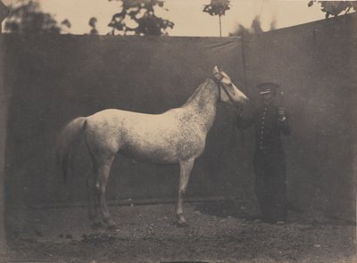 帕斯卡琳，约1855-60。 作者 阿德里安·阿尔班·图尔纳雄