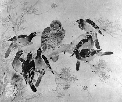 Mynah鸟攻击猫头鹰，可能是19世纪。 作者 会议结束后