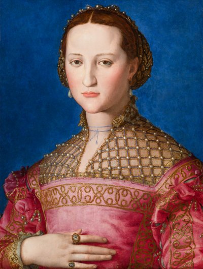 托莱多埃莉诺的肖像，c.1543 作者 Agnolo Bronzino