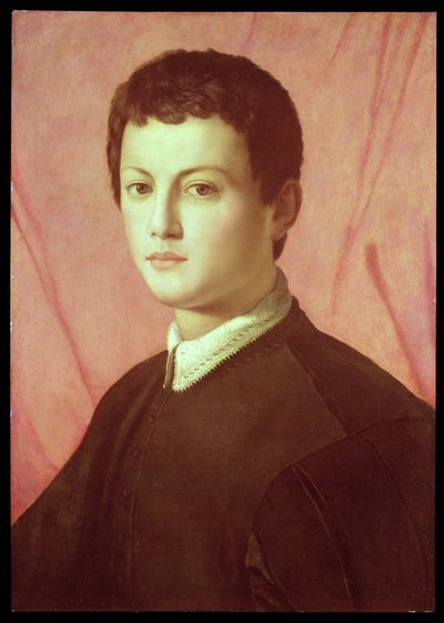 一个年轻人的肖像（面板） 作者 Agnolo Bronzino