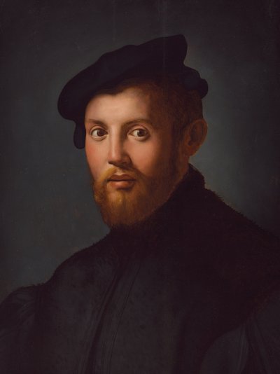 一个年轻人拿着一本书的肖像 作者 Agnolo Bronzino