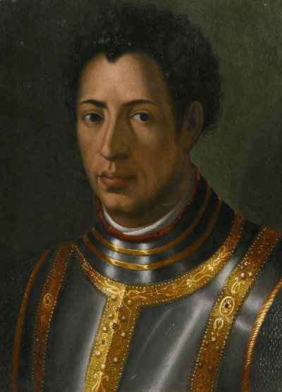 亚历山德罗-德-美第奇（1510-1537）的肖像（Alexandre de Medicis, dit le Maure）--由布朗齐诺，阿诺罗（1503-1572）创作。木板油画，尺寸：23,2x16,7 作者 Agnolo Bronzino