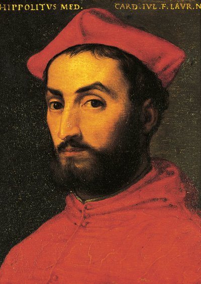 伊波利托-德-美第奇的肖像（乌尔比诺 作者 Agnolo Bronzino
