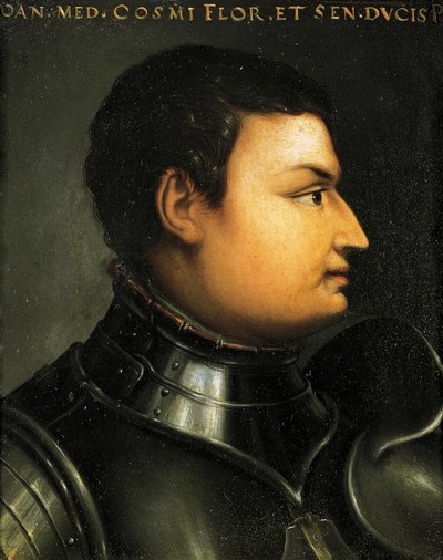 洛多维科-德-美第奇的肖像，又称乔万尼-达勒-班德-尼雷（Forli 作者 Agnolo Bronzino