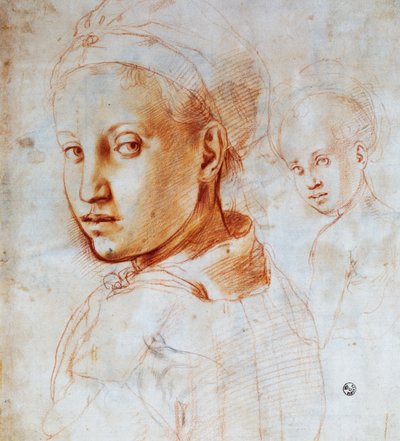 年轻女子的头，阿格诺罗-布朗齐诺（1503-1572），绘画，意大利 作者 雅各布·蓬托尔莫