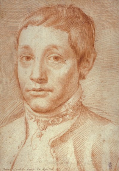 1592-95年，他的儿子肖像，安东尼奥·卡拉奇（Antonio Carracci） 作者 Agostino Carracci