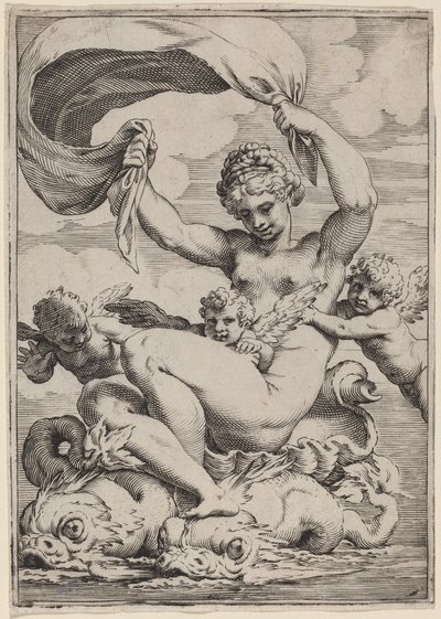 海豚支持的维纳斯或加拉提亚 作者 阿戈斯蒂诺·卡拉奇（Agostino Carracci）