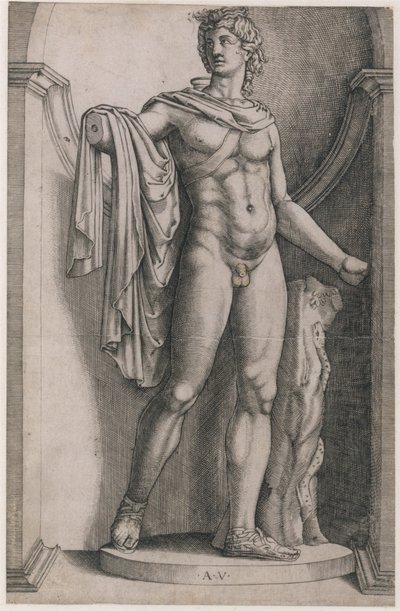 Speculum Romanae Magnificentiae: Apollo Belvedere, c. 1514-36, 约1514-36。 作者 阿戈斯蒂诺·韦内齐亚诺