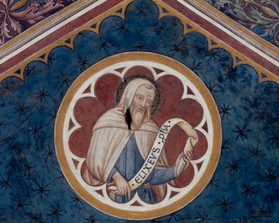 先知以利沙，细节（壁画） 作者 Agostino di Marsiglio