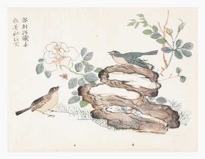 芥菜籽园 作者 艾（后）轩