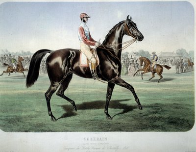 竞技。"Suzerain，1868年尚蒂伊德比的冠军" 阿尔伯特-亚当（1833-）的石版画作品 私人收藏 作者 阿尔伯特·亚当
