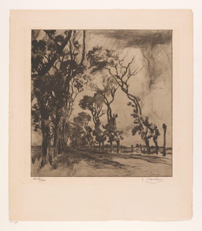 奥斯坦德大道景观 作者 Albert Baertsoen（艺术家签名）