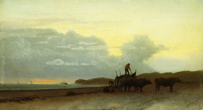 沿海景观，纽波特，1861年 作者 阿尔伯特·比尔施塔特