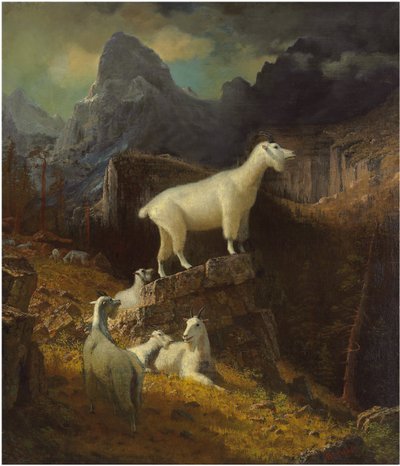 落基山羊，c.1885年作（布面油画） 作者 阿尔伯特·比尔施塔特