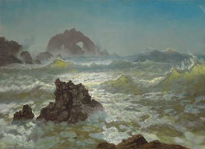 加利福尼亚州海豹岩，约1872年 作者 阿尔伯特·比尔施塔特