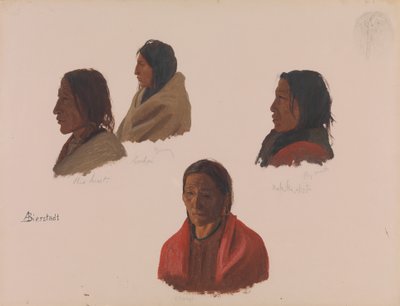印第安纳州酋长在拉勒米堡的研究。 1859年。 作者 阿尔伯特·比尔施塔特