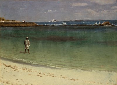 西印度群岛海岸风光，约 1880-93 年（纸面油画，裱在纤维板上） 作者 阿尔伯特·比尔施塔特